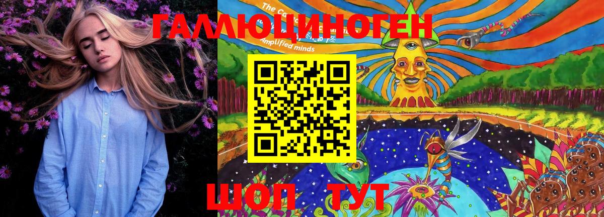 Галлюциногенные грибы Cubensis Тейково