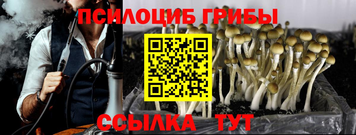 Псилоцибиновые грибы Psilocybe  Вход с VPN  Тейково  Галлюциногенные грибы MAGIC MUSHROOMS 